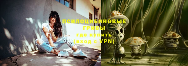 амф Богородск