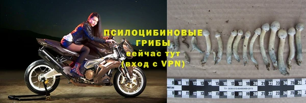 гашик Богородицк