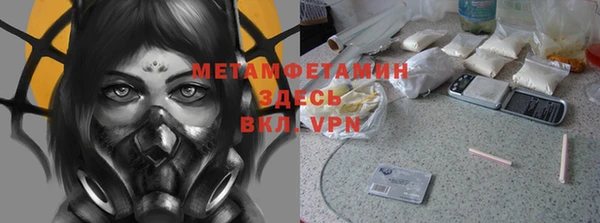 спайс Богданович