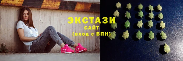 гашик Богородицк
