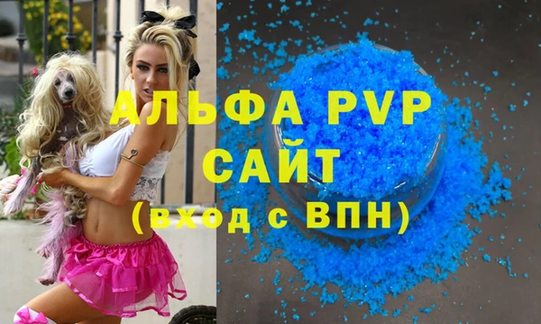 спайс Богданович