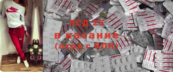 спайс Богданович