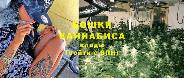 гашик Богородицк